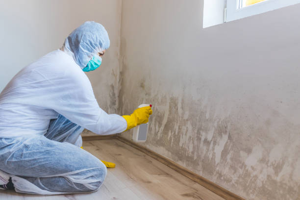 Bathroom Mold Removal assessment in Parkville bathroom