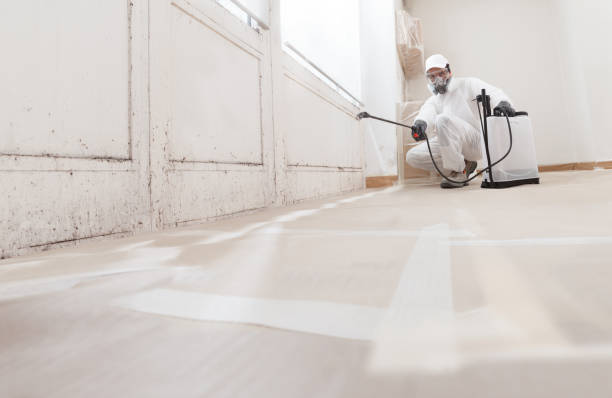 Black mold remediation team in Parkville